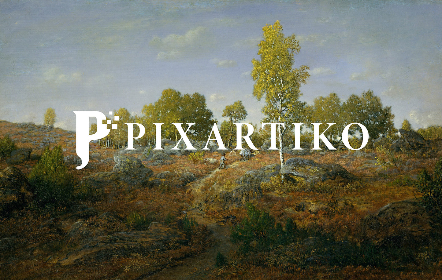 An Early Summer Morning in the Forest of Fontainebleau | Vintage French Landscape