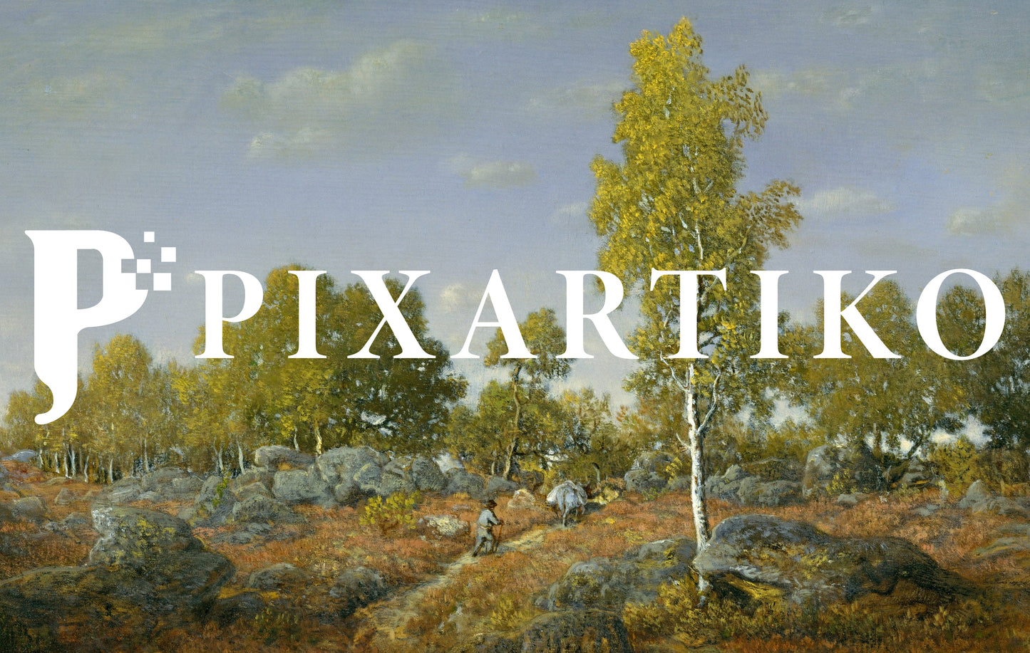 An Early Summer Morning in the Forest of Fontainebleau | Vintage French Landscape