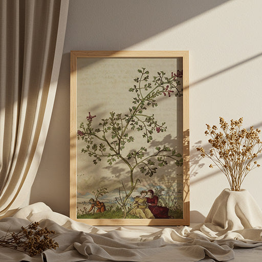 Fumaria | Vintage Botanical Print