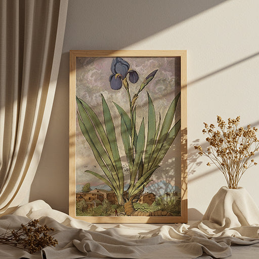 Iris | Vintage Botanical Print