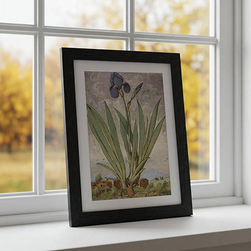 Iris | Vintage Botanical Print