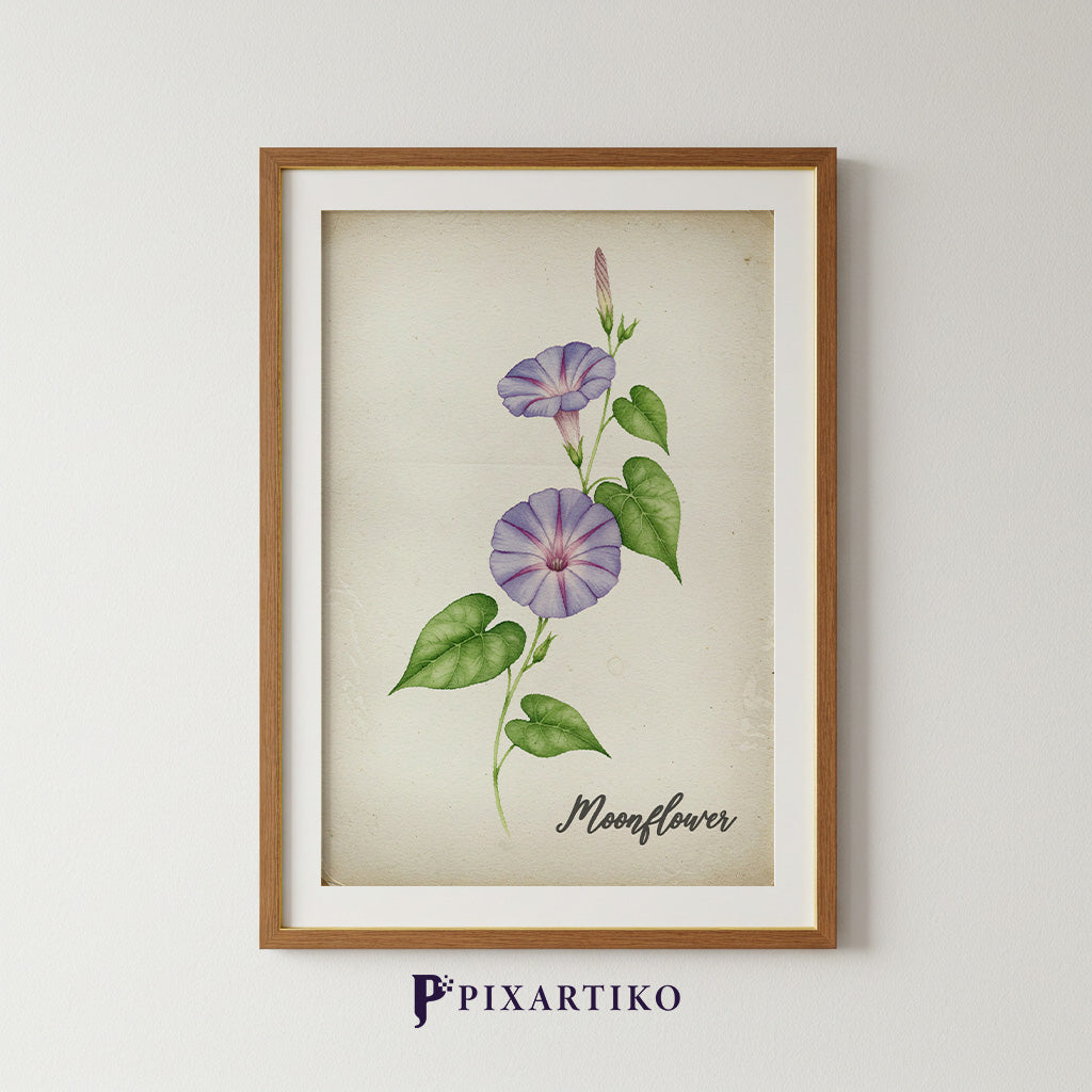 "Vintage Floral Gallery Set"