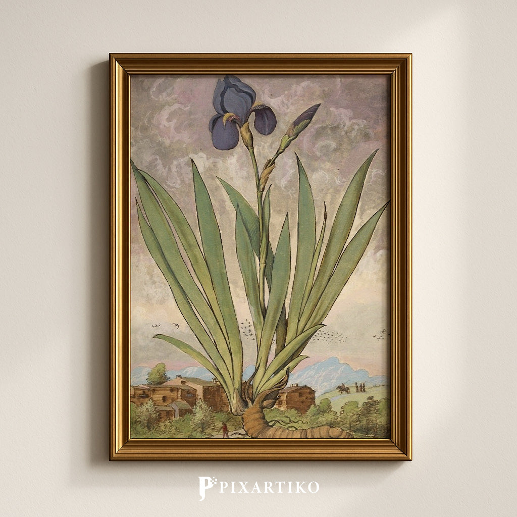 Iris | Vintage Botanical Print