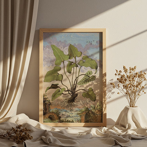 Phyllitis hemionitis | Vintage Botanical Print