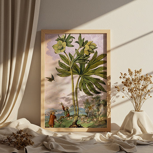 Helleboris viridis | Vintage Botanical Print