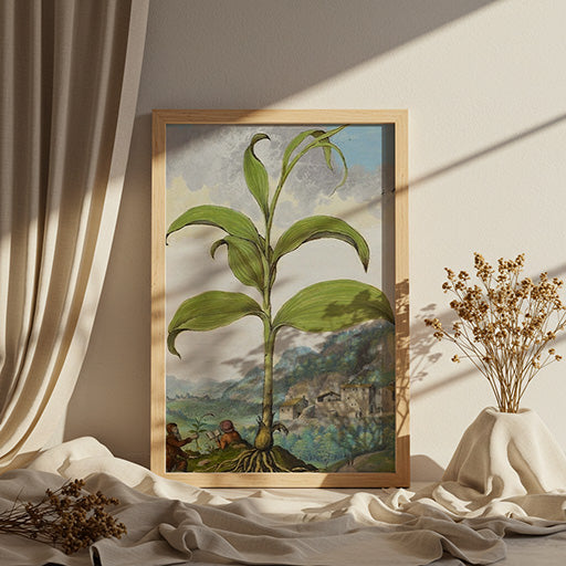 Polygonatum | Vintage Botanical Print