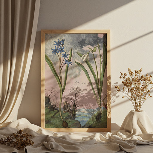 Galanthus and Ipheion | Vintage Botanical Print