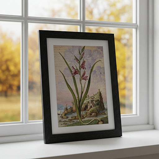 Gladiolus Italicus | Vintage Botanical Print