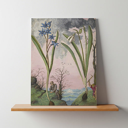 Galanthus and Ipheion | Vintage Botanical Print