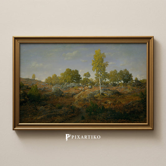 An Early Summer Morning in the Forest of Fontainebleau | Vintage French Landscape