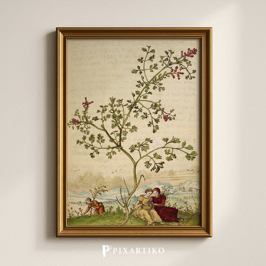 Fumaria | Vintage Botanical Print