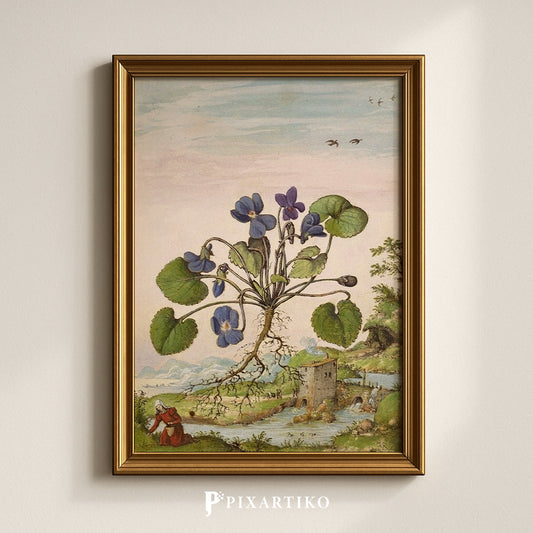 Viola odorata | Vintage Botanical Print