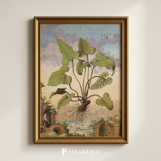 Phyllitis hemionitis | Vintage Botanical Print