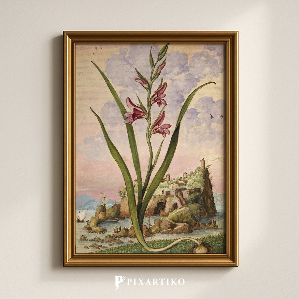 Gladiolus Italicus | Vintage Botanical Print