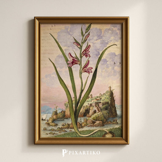 Gladiolus Italicus | Vintage Botanical Print